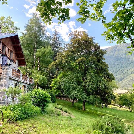 Chalet Le Tilleul Valdeblore Exteriér fotografie