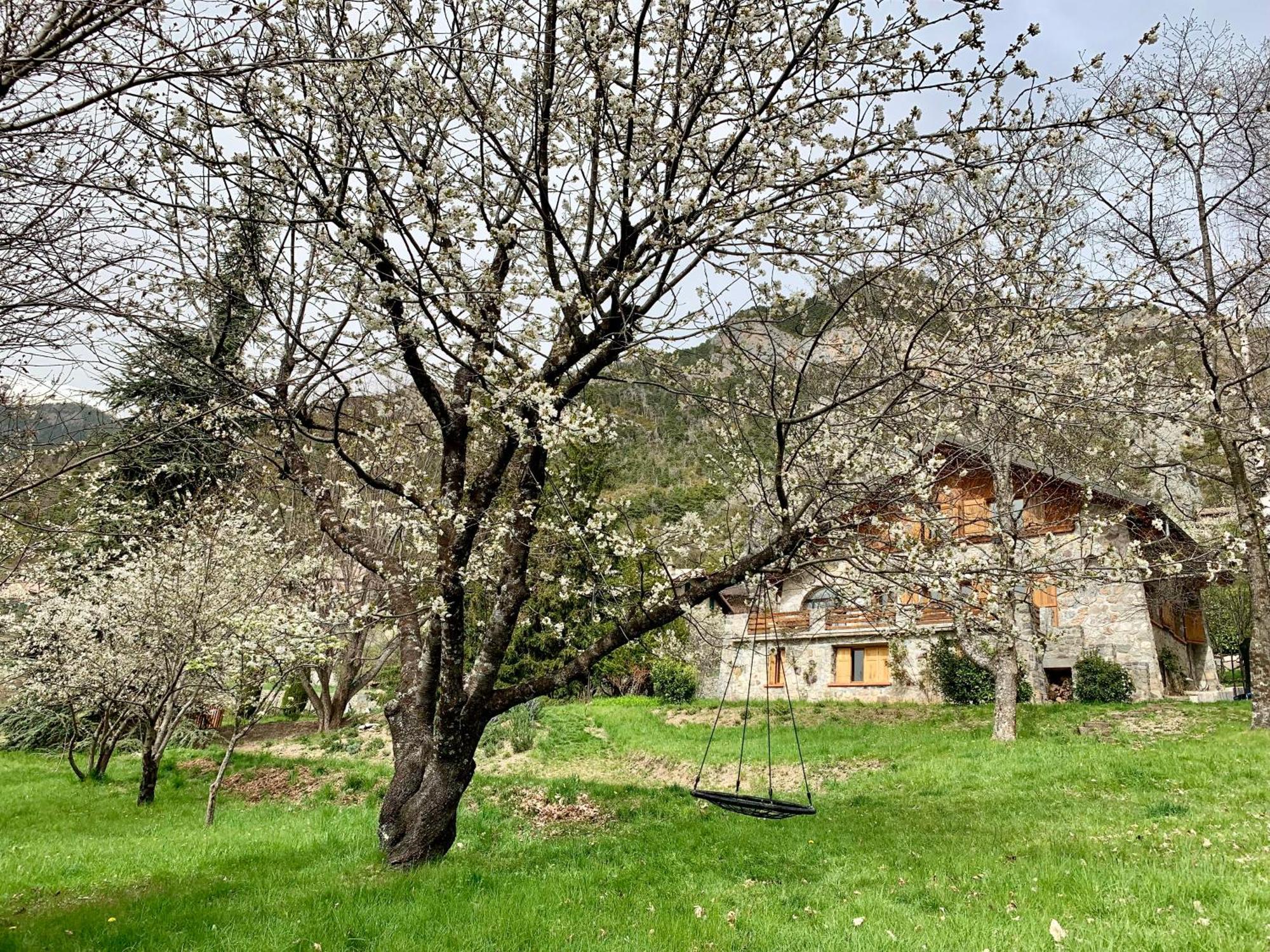 Chalet Le Tilleul Valdeblore Exteriér fotografie